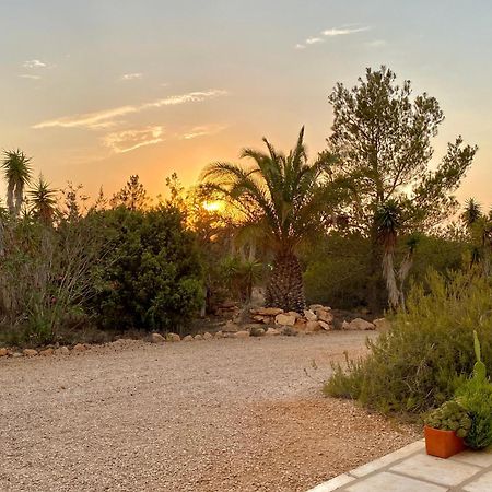 Ses Oliveres Cala Saona Esterno foto