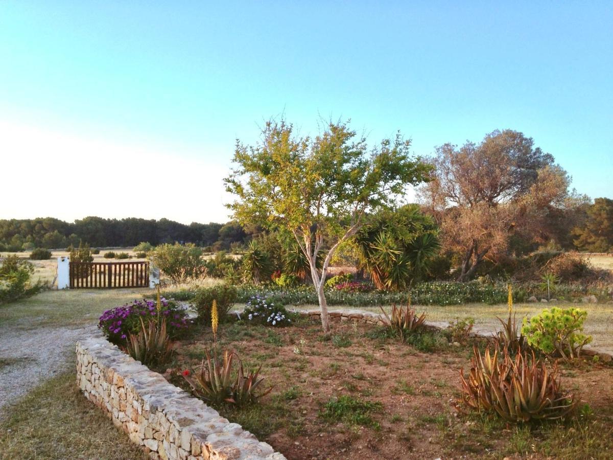 Ses Oliveres Cala Saona Esterno foto