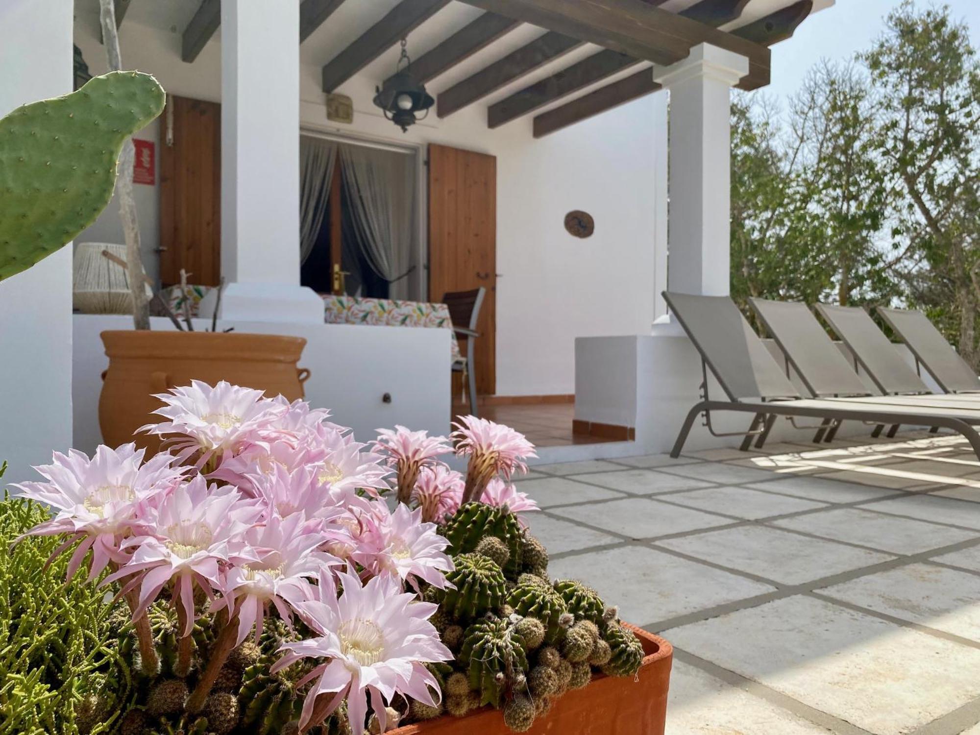 Ses Oliveres Cala Saona Esterno foto
