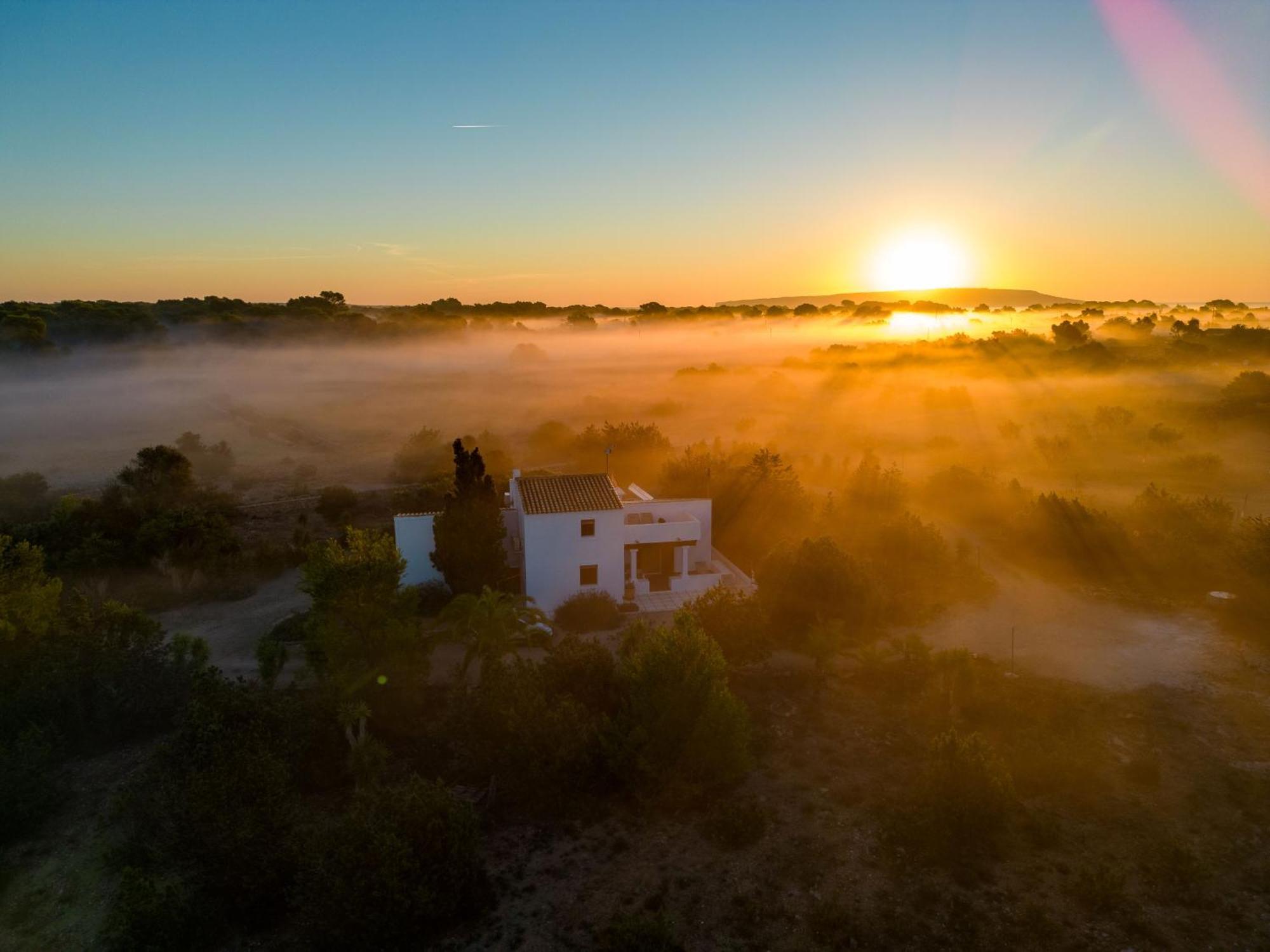 Ses Oliveres Cala Saona Esterno foto