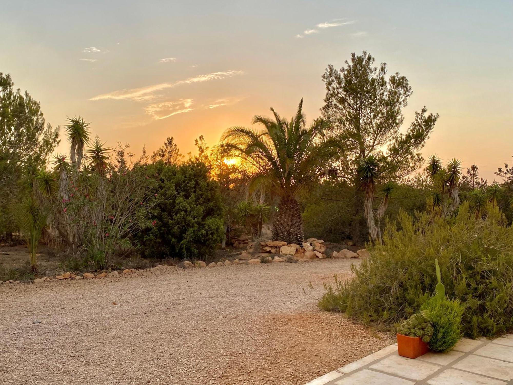 Ses Oliveres Cala Saona Esterno foto